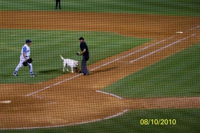 "Deuce" team mascot brings out the balls
